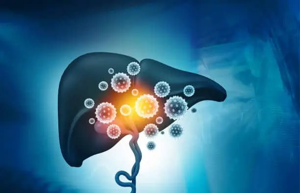 Virus attacks human liver.